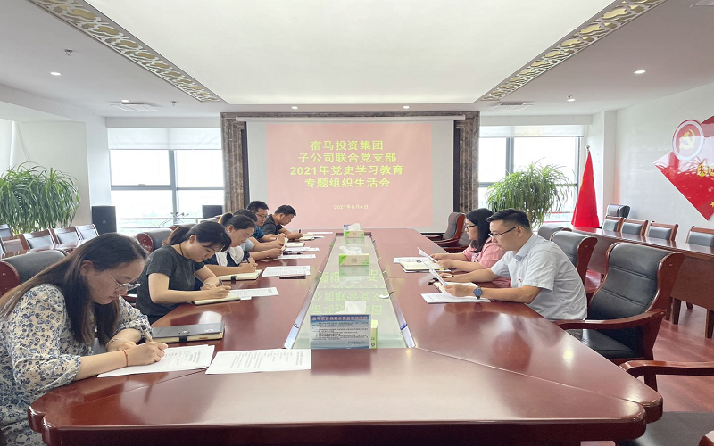 子公司联合党支部开展党史学习教育专题组织生活会(图1)